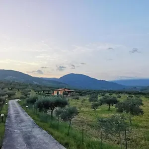 L'ulivo Burgio (Agrigento)